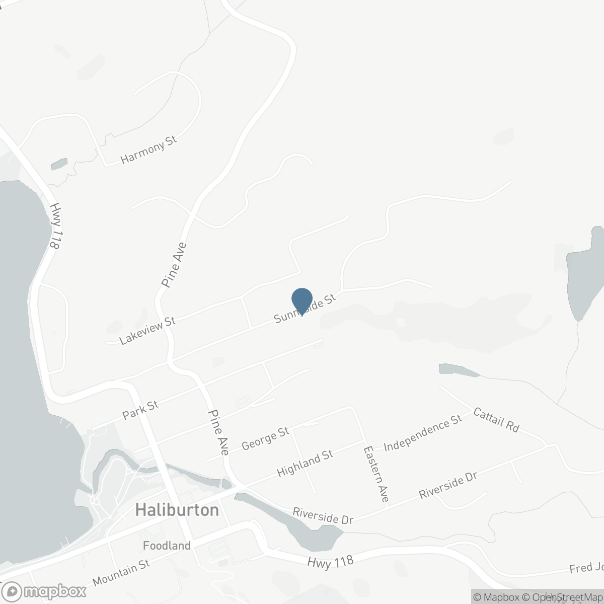 171 SUNNYSIDE STREET, Haliburton, Ontario K0M 1S0